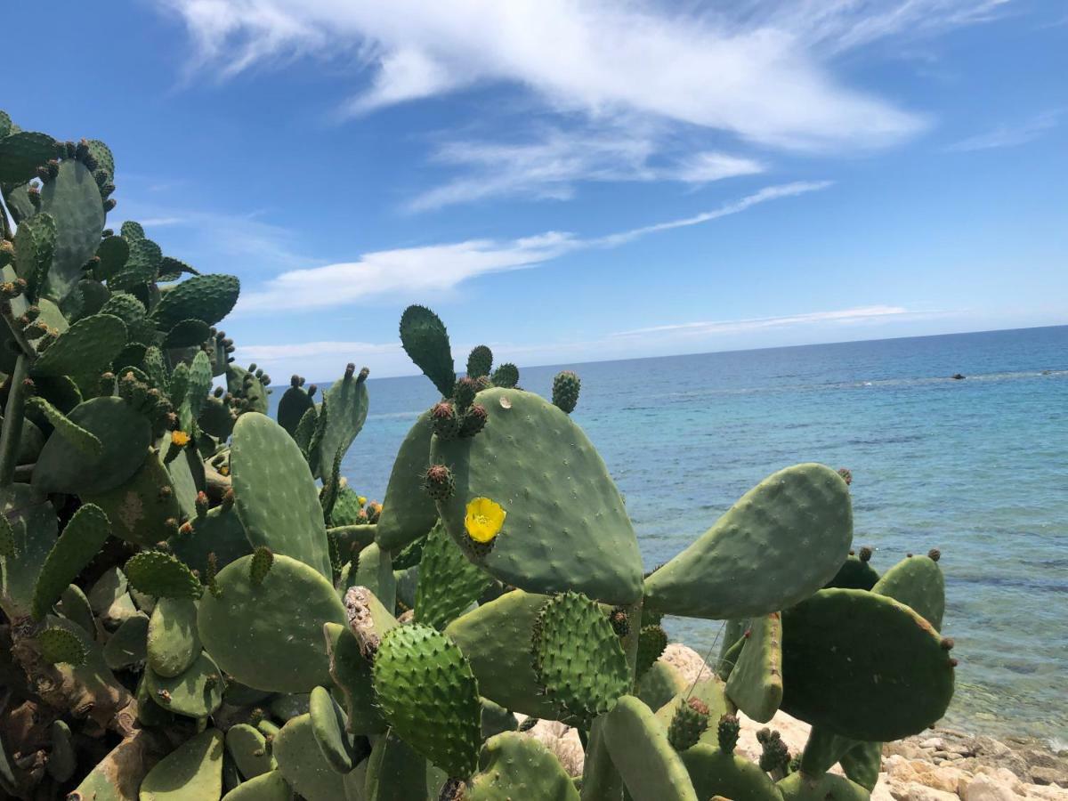 Villa Santa Barbara 阿沃拉 外观 照片
